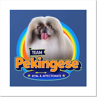 Pekingese Posters and Art